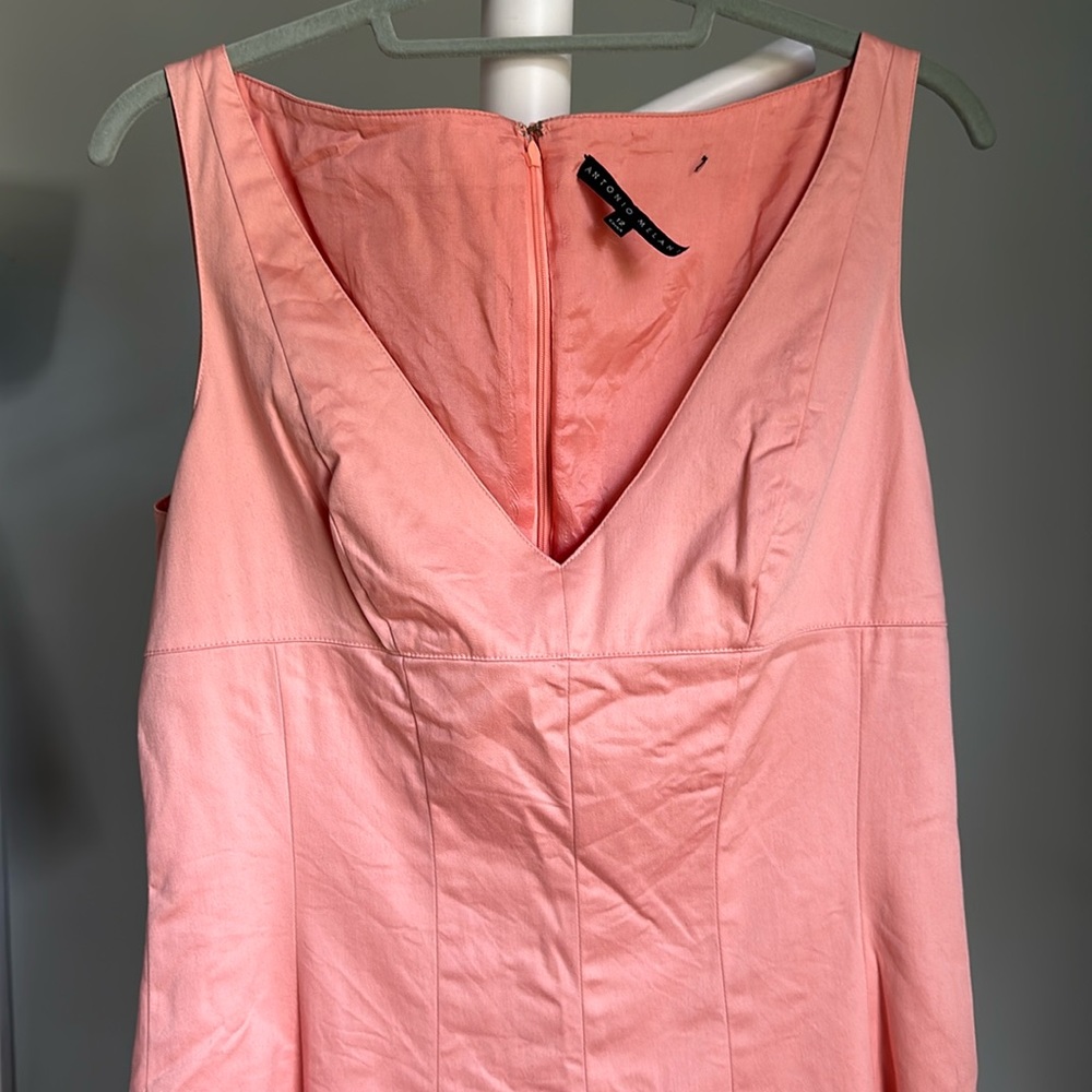 Antonio Melani Dress